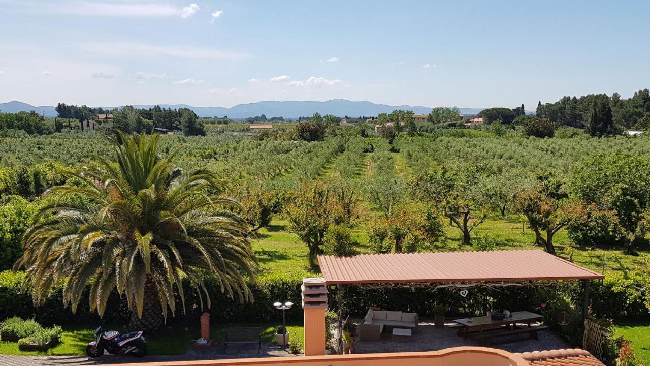 Villa Mandrioli Cecina  Εξωτερικό φωτογραφία